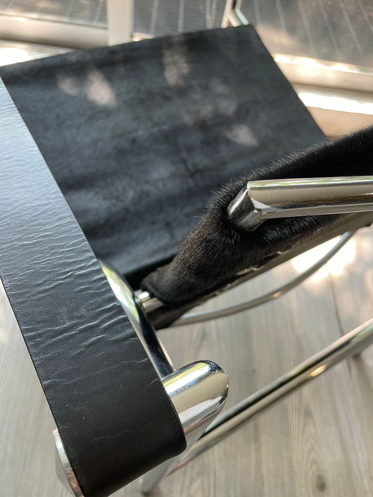 LC1 Basculant Chair Le Corbusier Black Cowhide Cassina