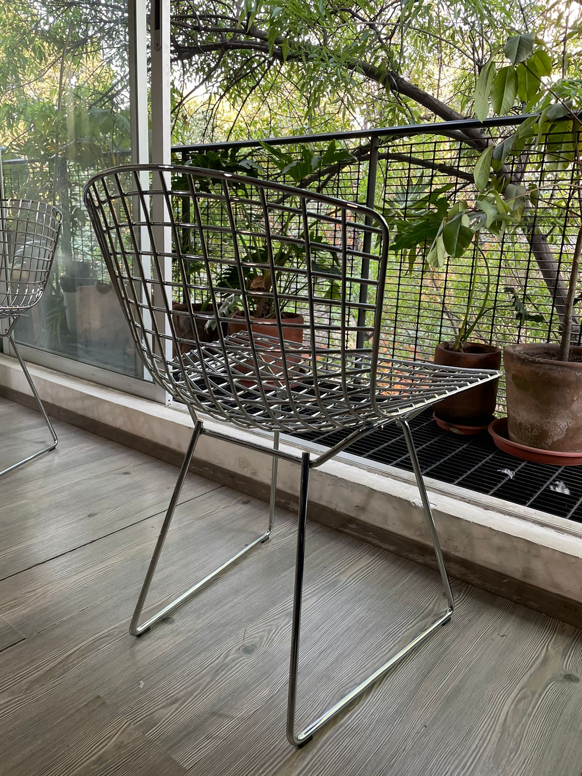 Bertoia Side Chair Knoll