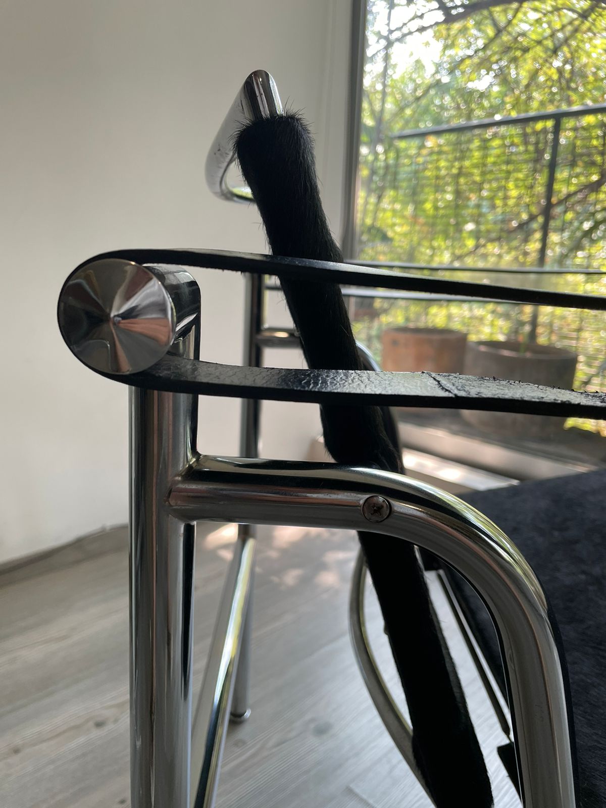 LC1 Basculant Chair Le Corbusier Black Cowhide Cassina
