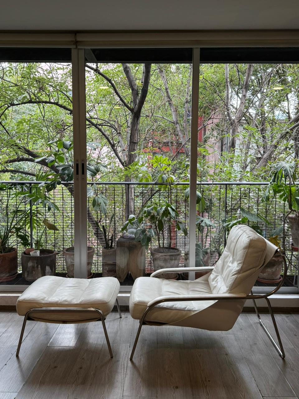 Maggiolina Lounge Chair Zanotta