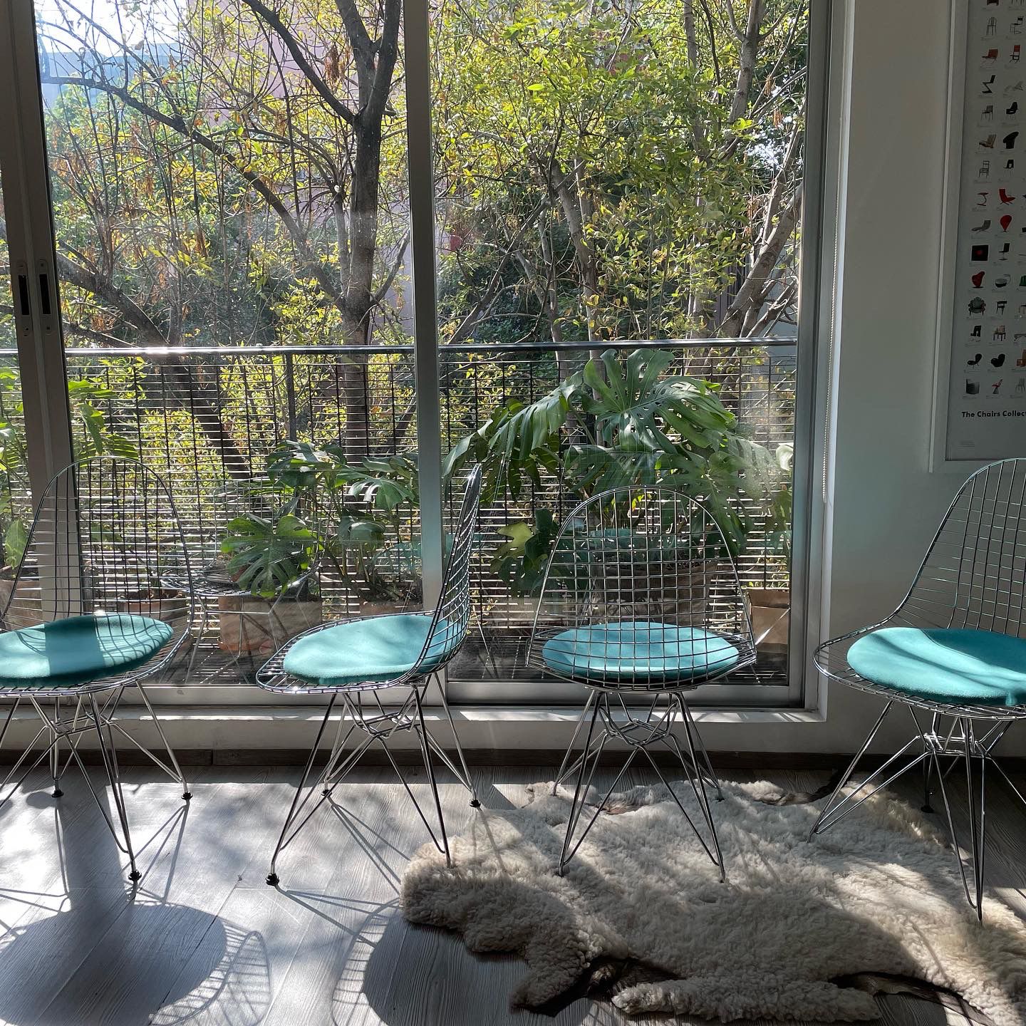 Eames DKR Wire Chair - Charles Y Ray Eames