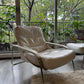 Maggiolina Lounge Chair               Zanotta