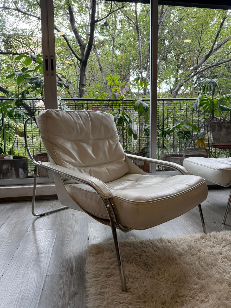 Maggiolina Lounge Chair               Zanotta
