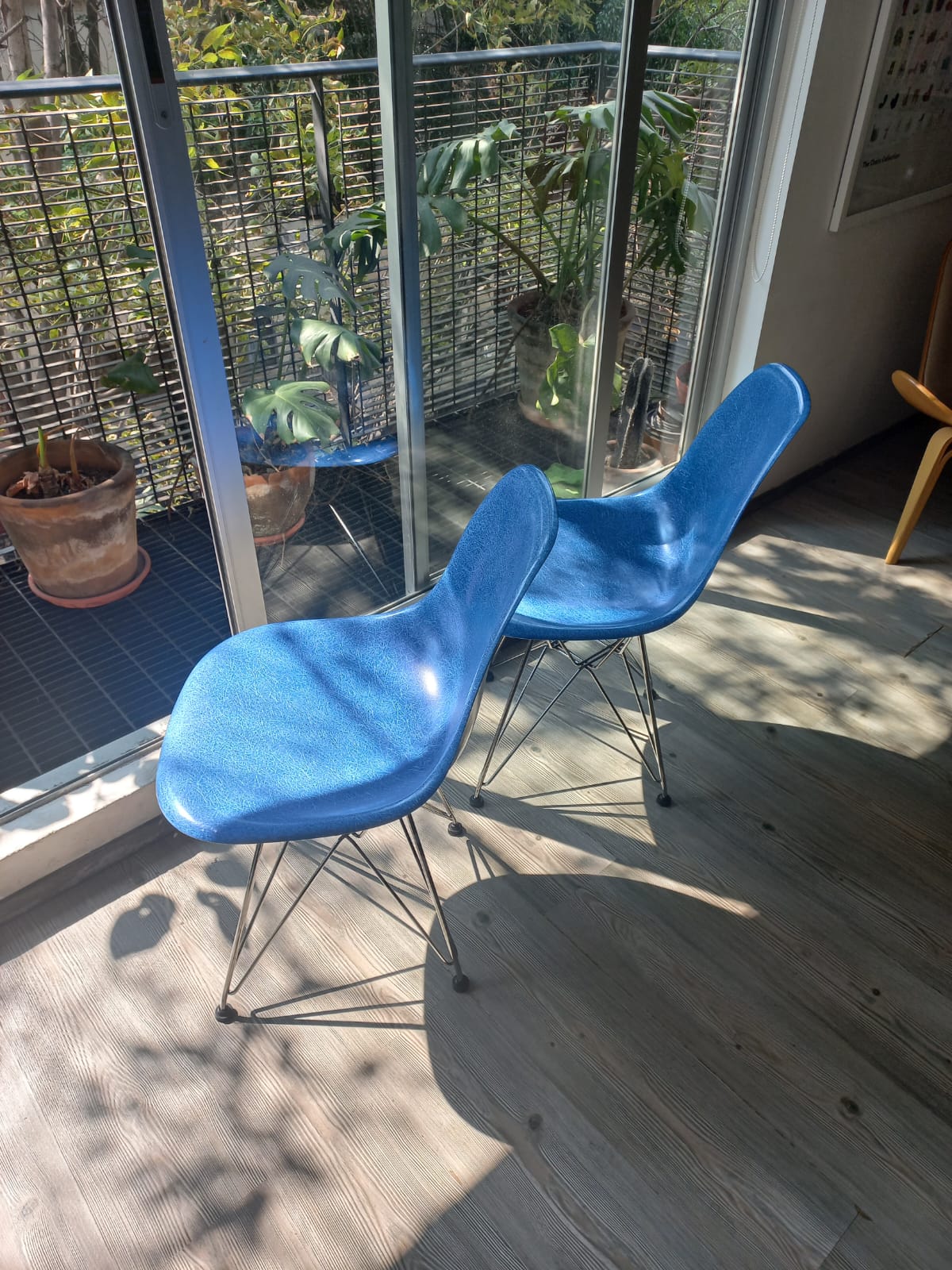 Eames Fiberglass  Wire Side Chair Herman Miller