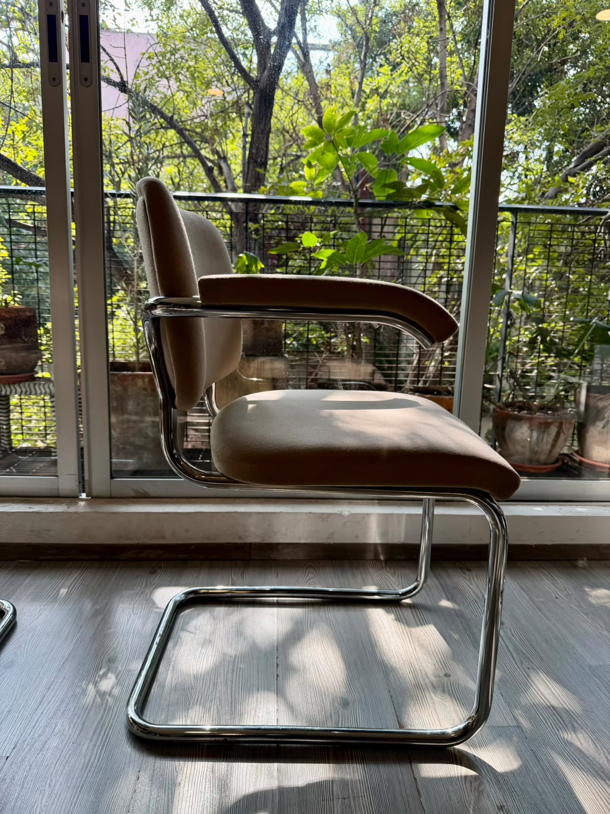 Cesca chair     Thonet