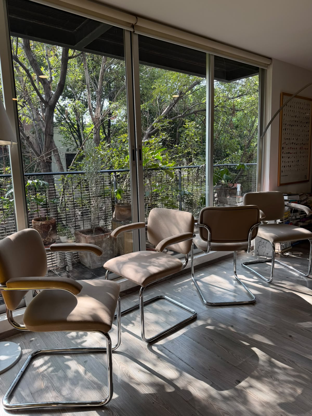 Cesca chair     Thonet