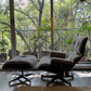 Eames Lounge & Ottoman      Herman Miller