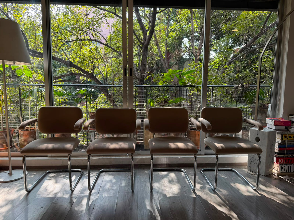 Cesca chair     Thonet