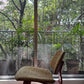 Eames LCW              Herman Miller