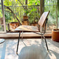 Eames LCM           Herman Miller