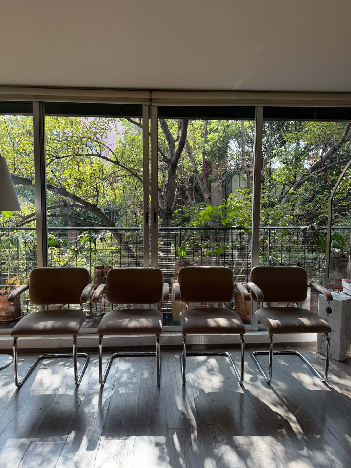 Cesca chair     Thonet