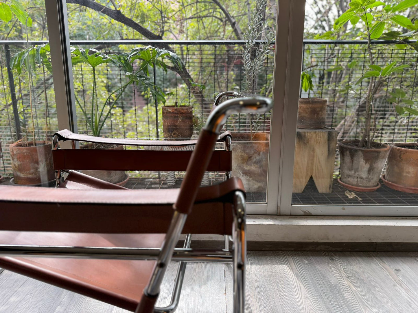 Wassily Chair         Knoll