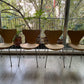 Serie 7- Republic of Frtiz Hansen