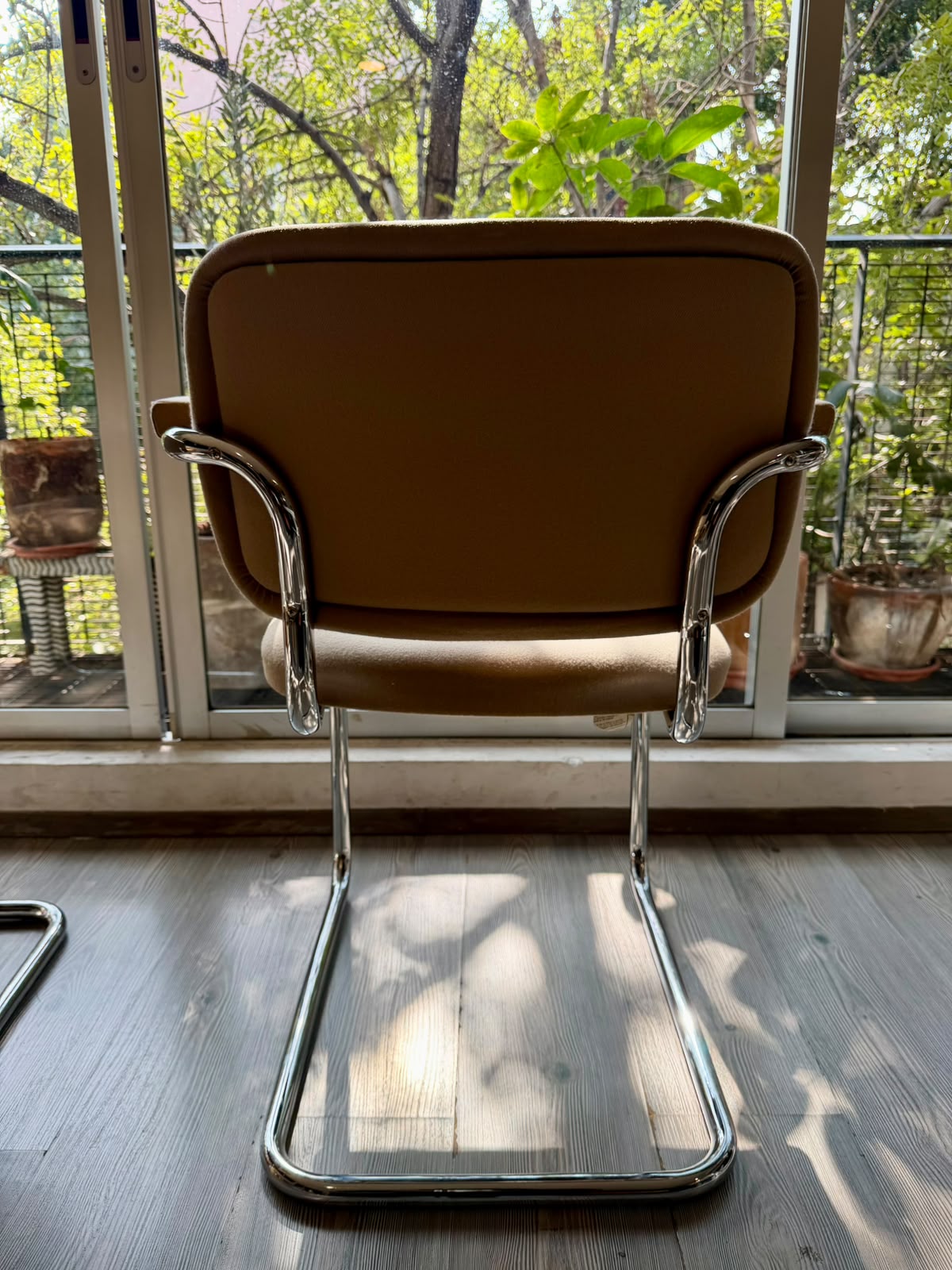 Cesca chair     Thonet
