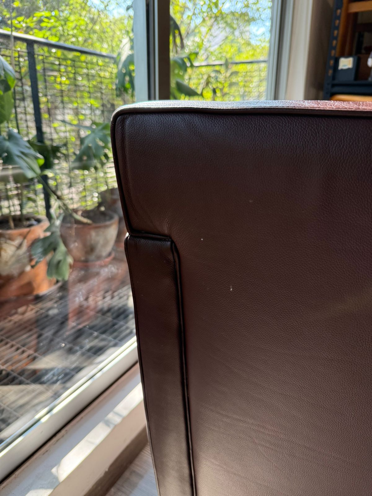 Sofa Krefeld Lounge Chair          Knoll