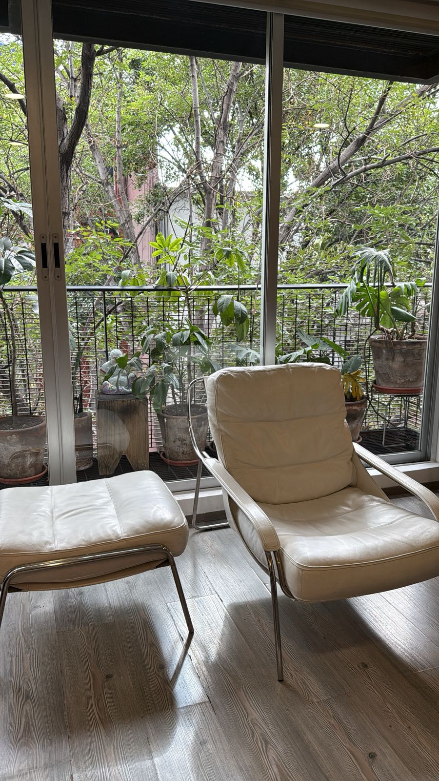 Maggiolina Lounge Chair               Zanotta