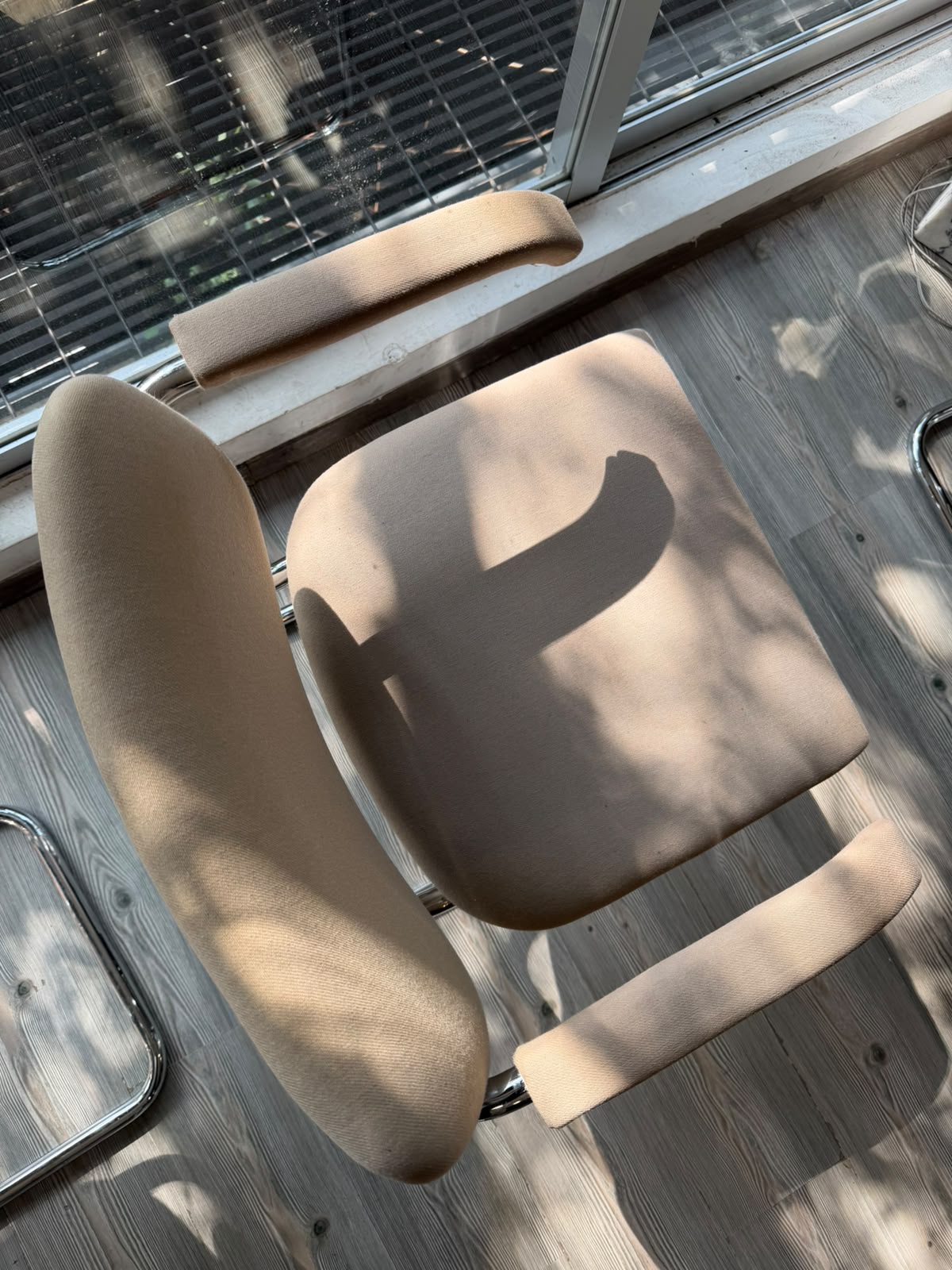 Cesca chair     Thonet