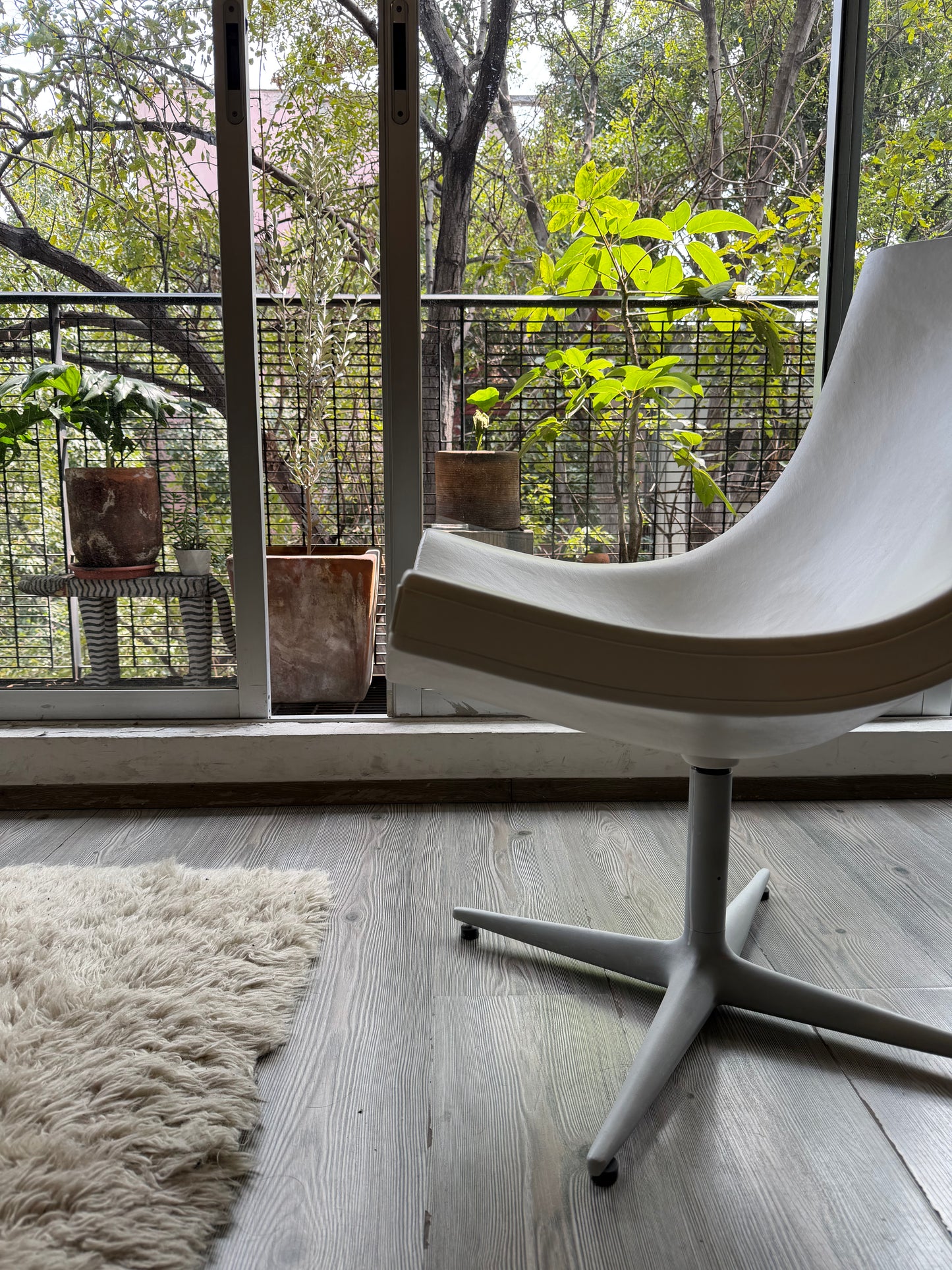 Y’s sillón    Cappellini