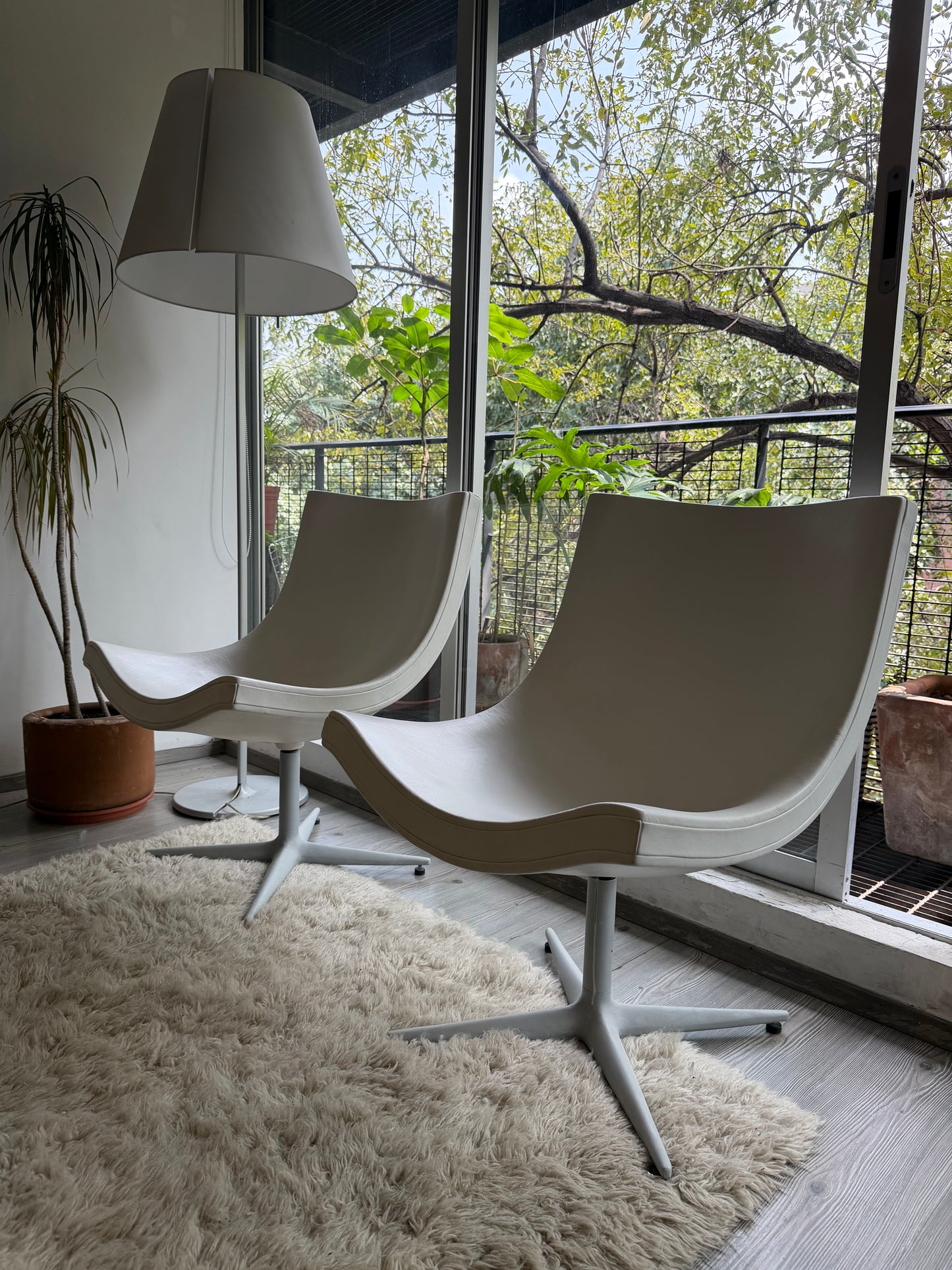 Y’s sillón    Cappellini