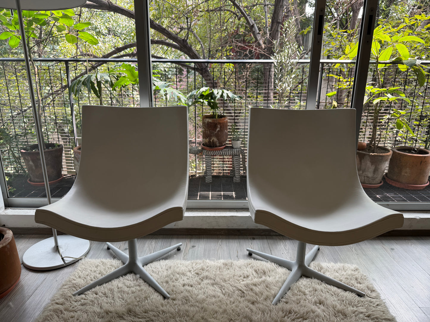 Y’s sillón    Cappellini
