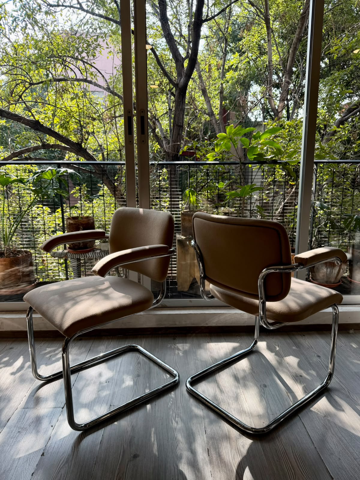Cesca chair     Thonet