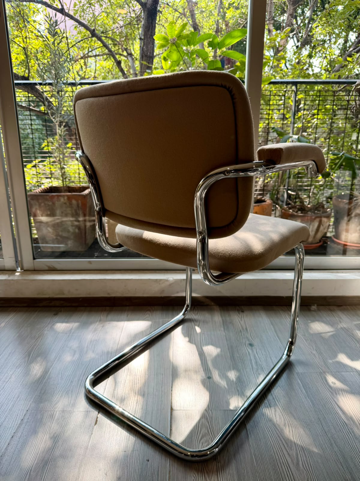 Cesca chair     Thonet