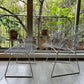 Bertoia Diamond Chair & Ottoman