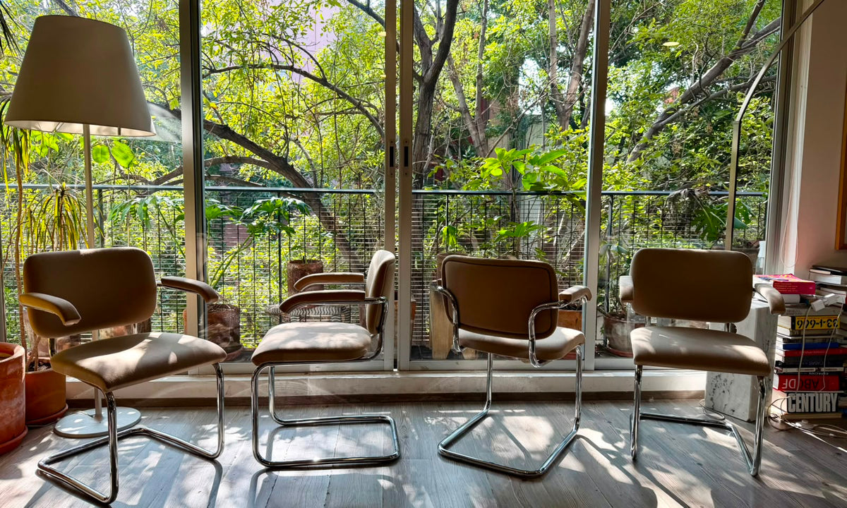 Cesca chair     Thonet