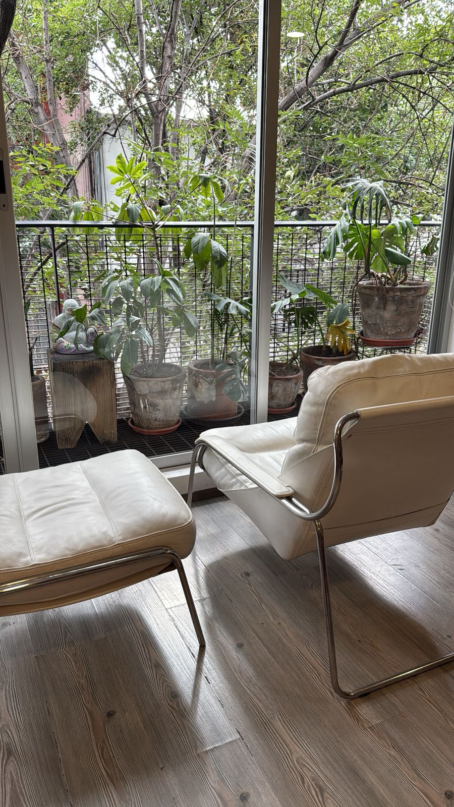 Maggiolina Lounge Chair               Zanotta