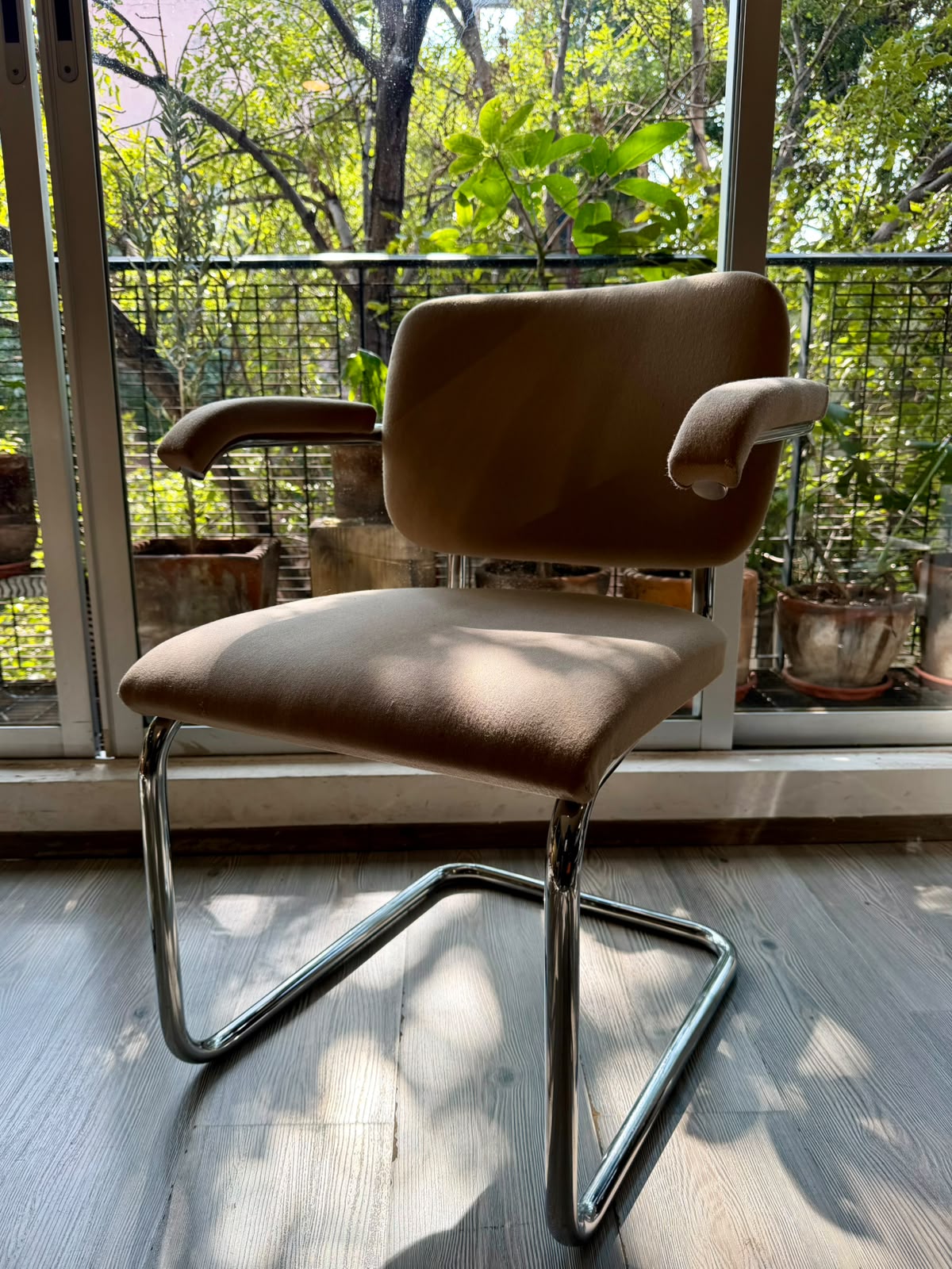 Cesca chair     Thonet