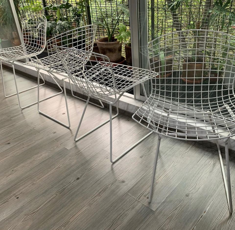 Side Chair - Harry Berotia